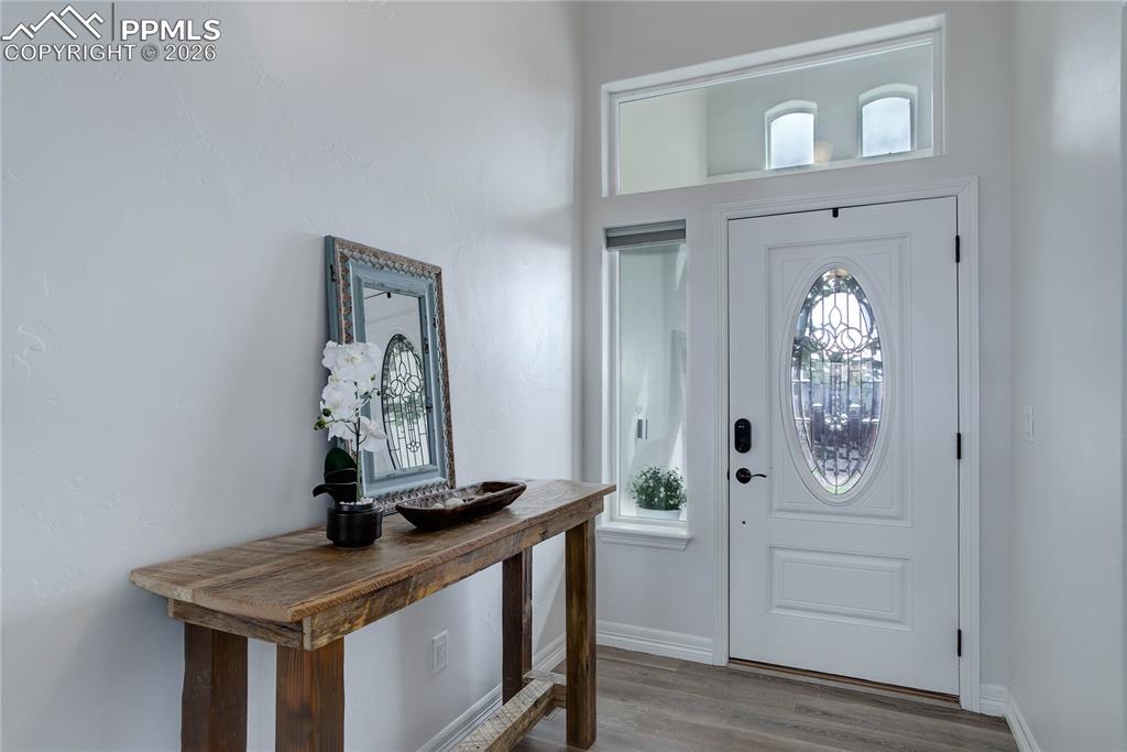 10704 Shavano Peak Court photo 2