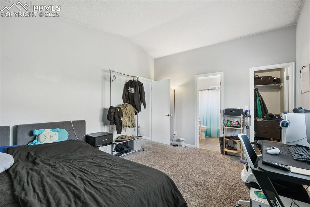 Carpeted bedroom with lofted ceiling, connected bathroom, a closet, and a spacious closet