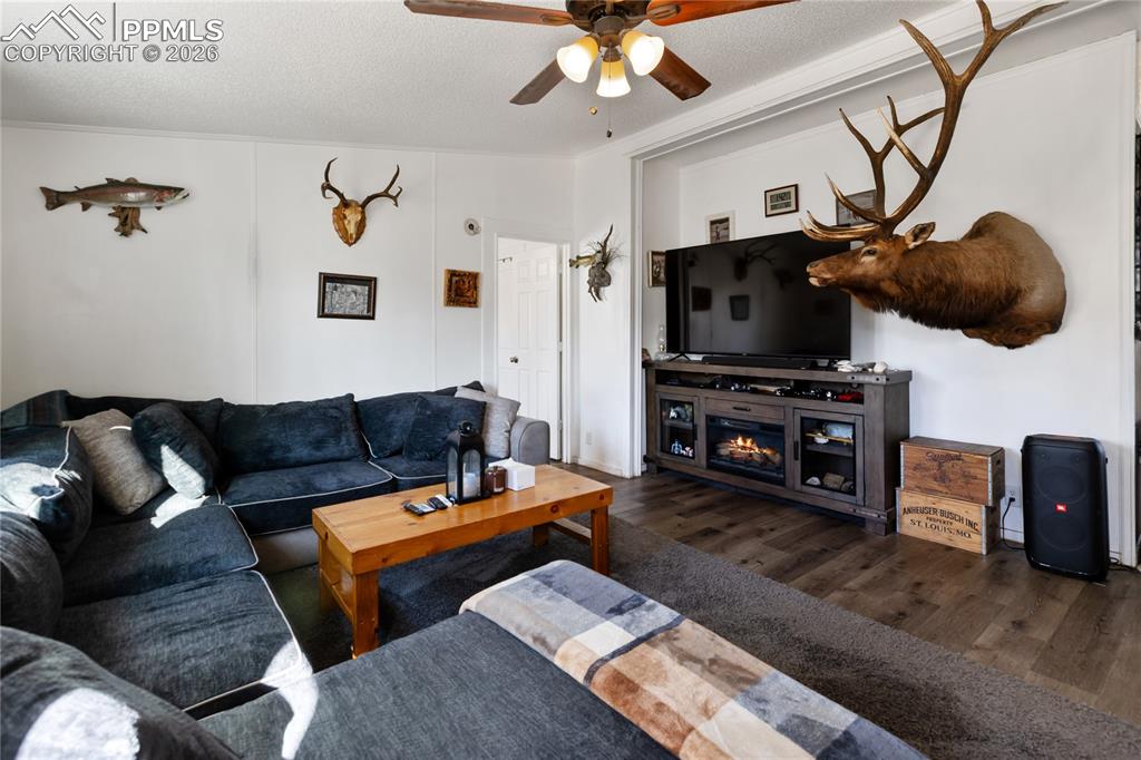 The living area featuring dark wood-style flooring, a ceiling fan, and crown molding!