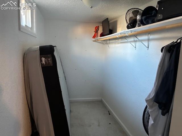 Walk in closet featuring light carpet