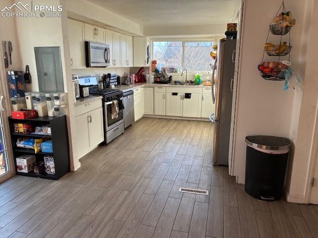 Kitchen with stainless steel appliances, electric panel, light wood-style floors, and white cabinetry