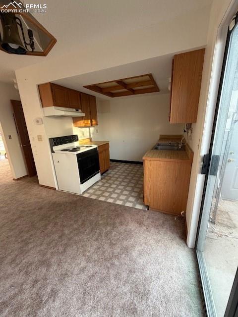 1321 Soaring Eagle Drive photo 3