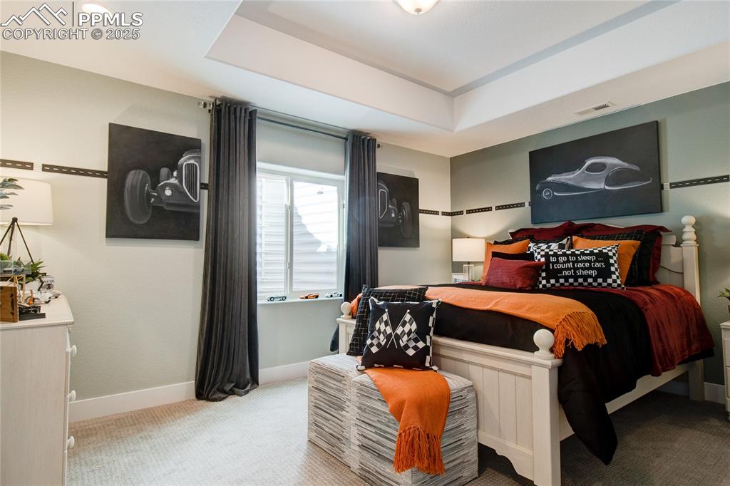 Carpeted bedroom featuring a tray ceiling