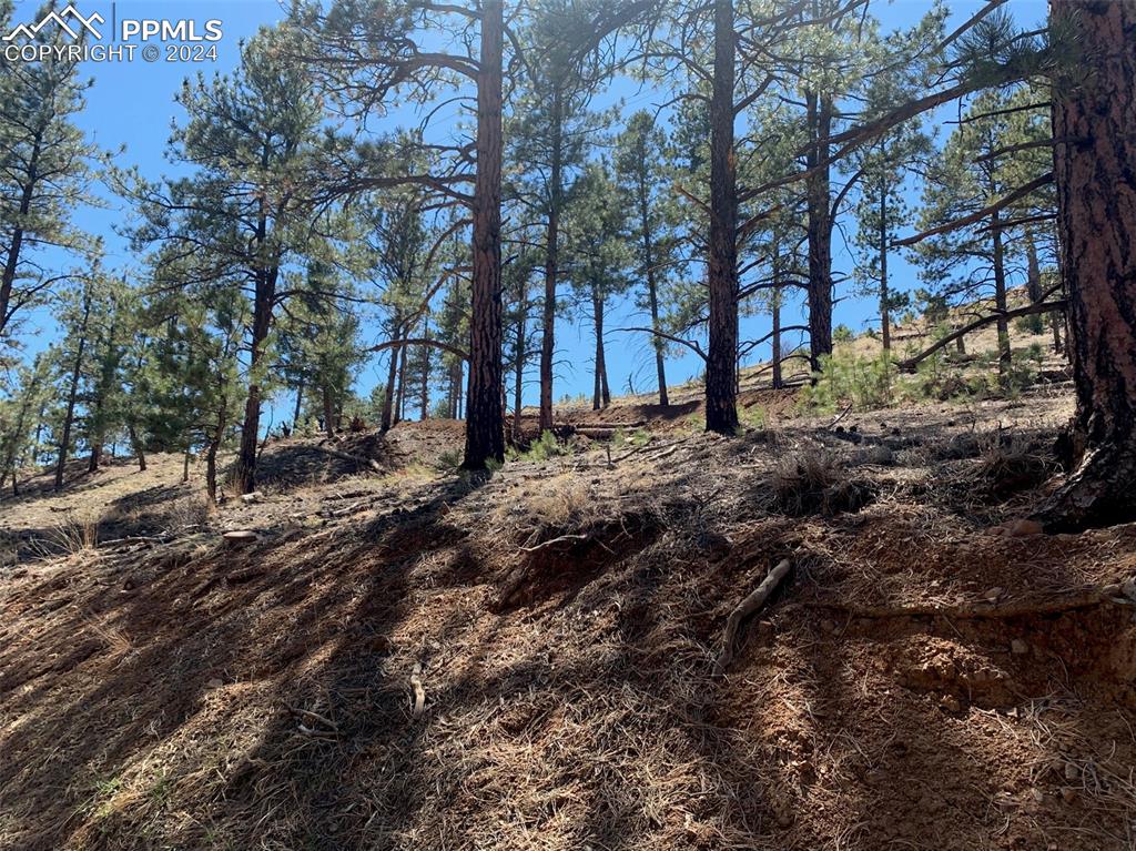 15421 Westcreek Rd, Woodland Park, CO 80863