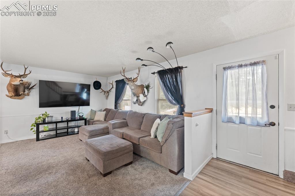 6845 Cedar Edge Drive photo 3