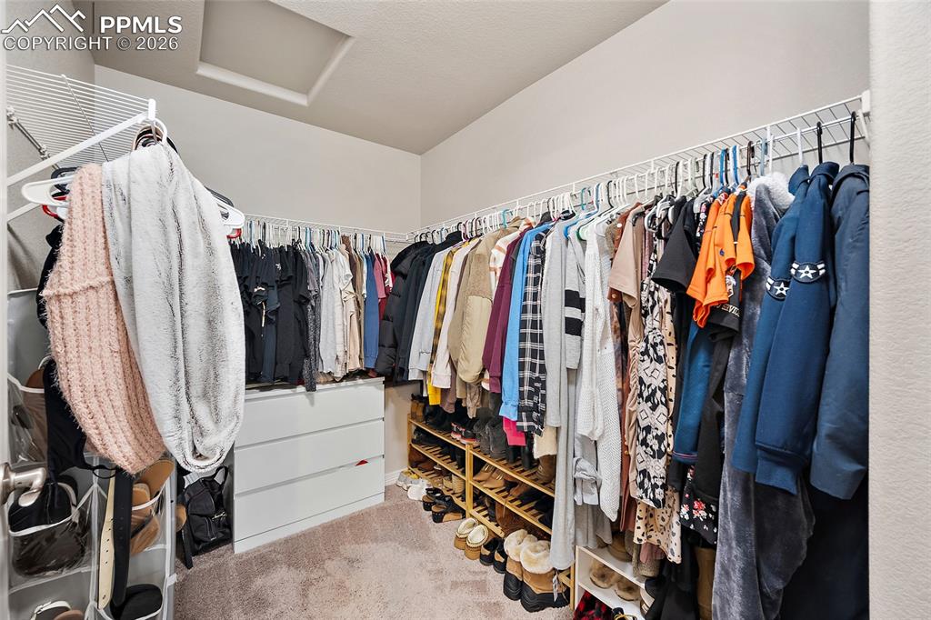 Walk in closet featuring light colored carpet and attic access