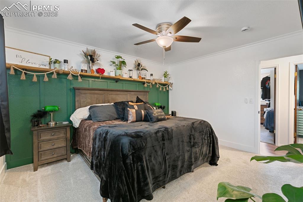 Carpeted bedroom with crown molding and a ceiling fan