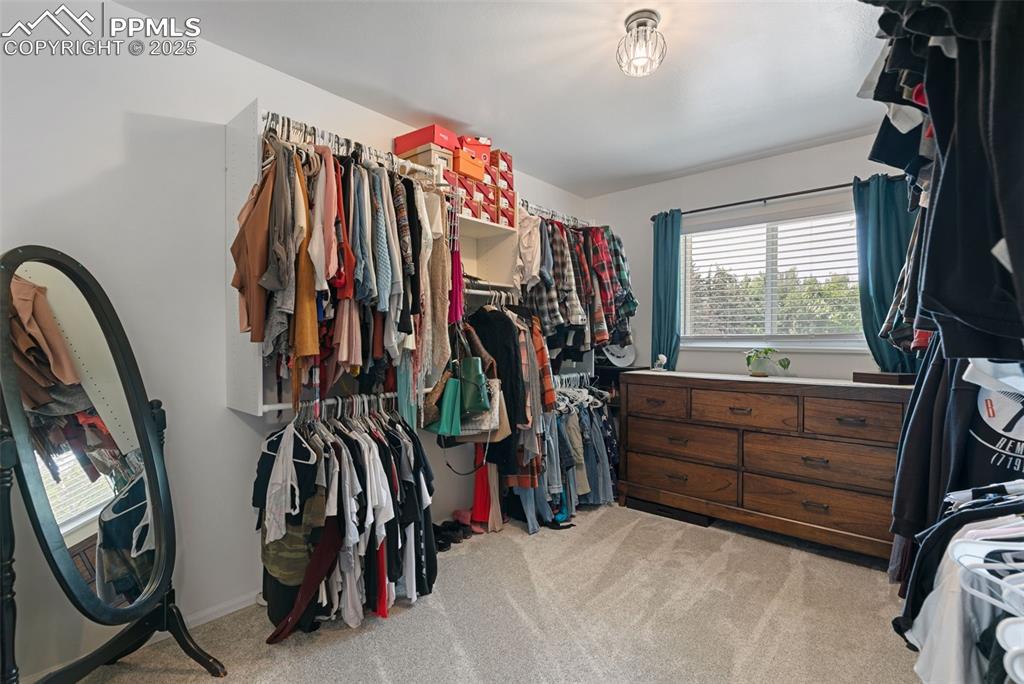 Walk in closet featuring light carpet