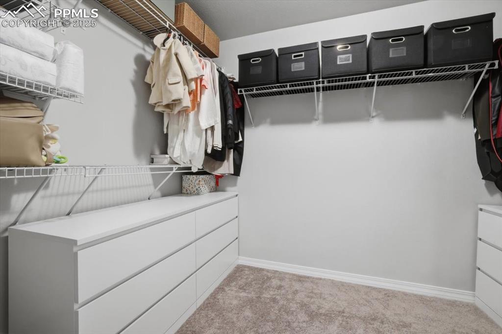 Spacious closet featuring light colored carpet