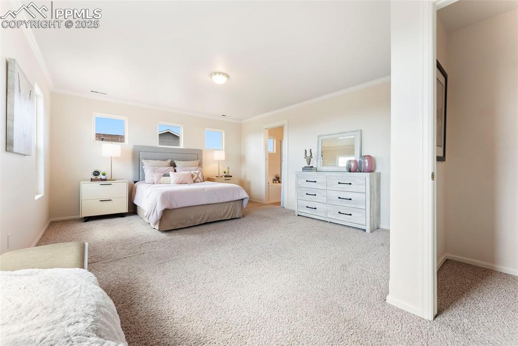 Carpeted bedroom featuring crown molding and baseboards