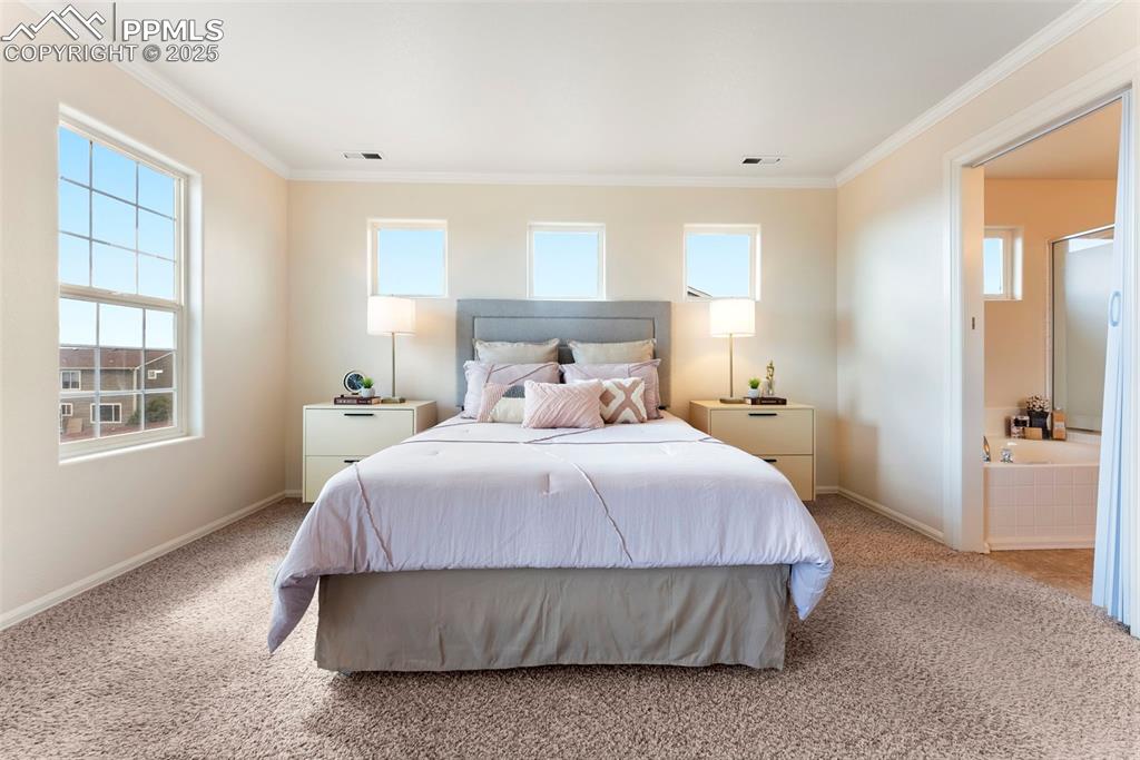Carpeted bedroom with crown molding and connected bathroom