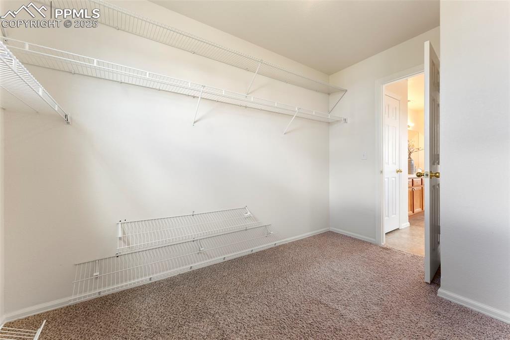 Walk in closet with carpet floors