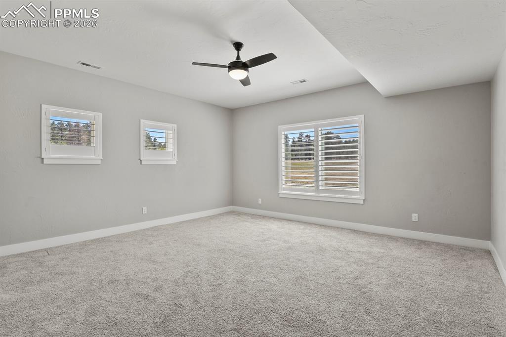 2nd Basement Bedroom