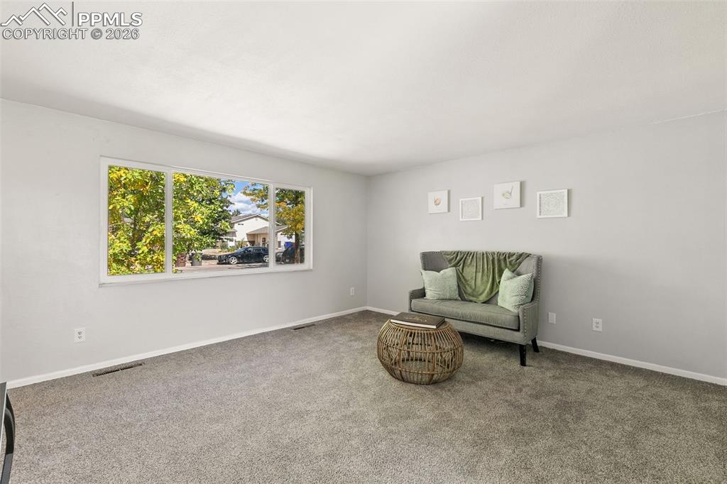 Living area featuring carpet floors and baseboards