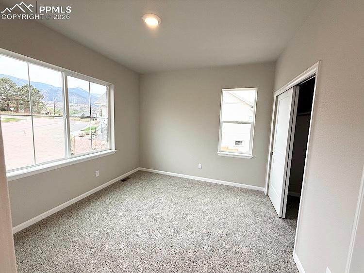 Great Room, Dining Area, and Kitchen