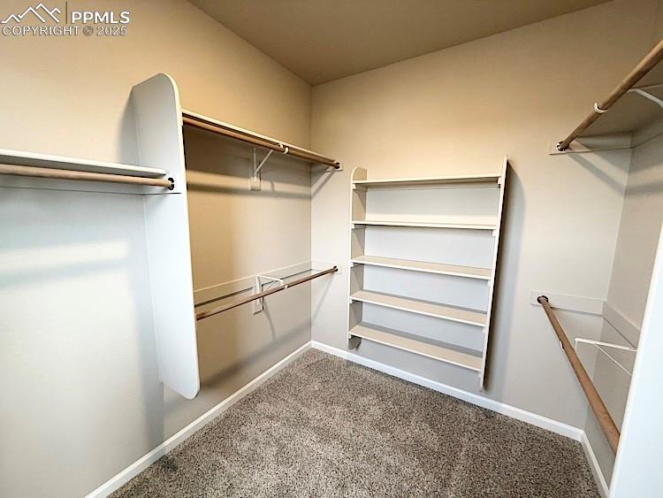 The Primary suite comes with a luxurious bathroom and a spacious walk-in closet!