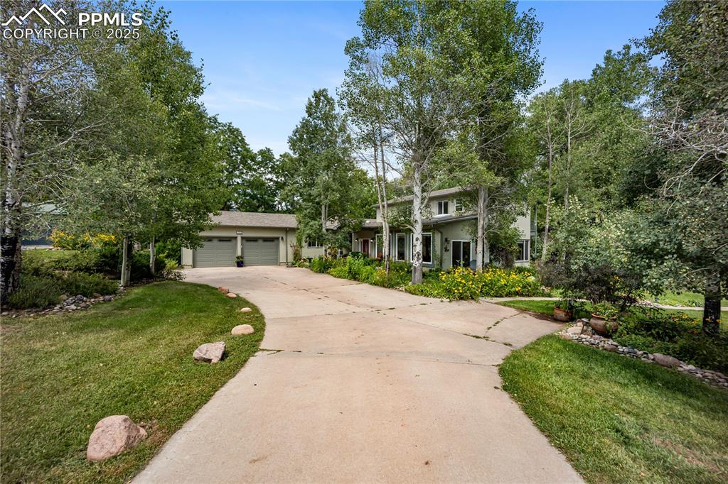 8695 Pine Drive photo 3