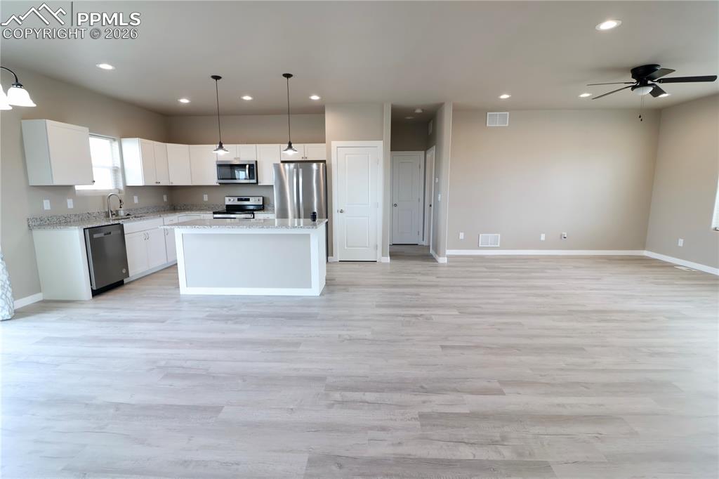 Kitchen, living, and dining areas