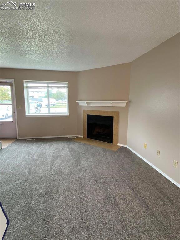 1203 Soaring Eagle Drive photo 2