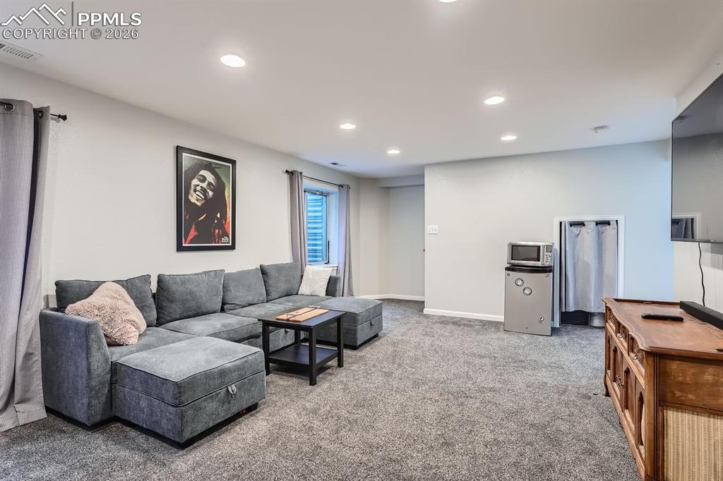 Basement Living Room
