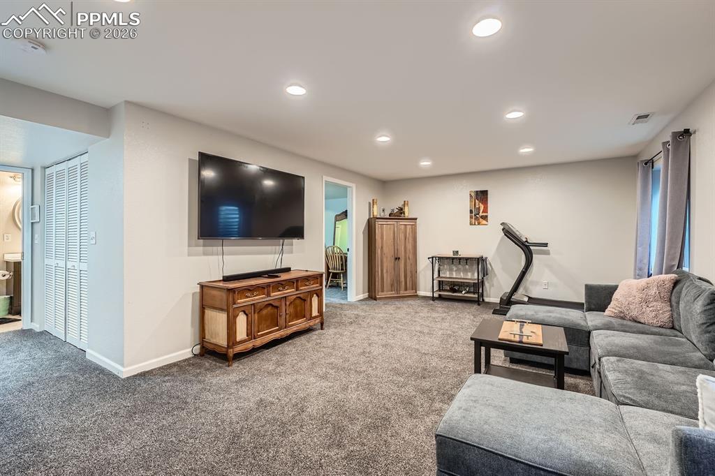 Basement Living Room