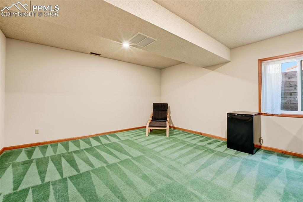 Basement Family or media room