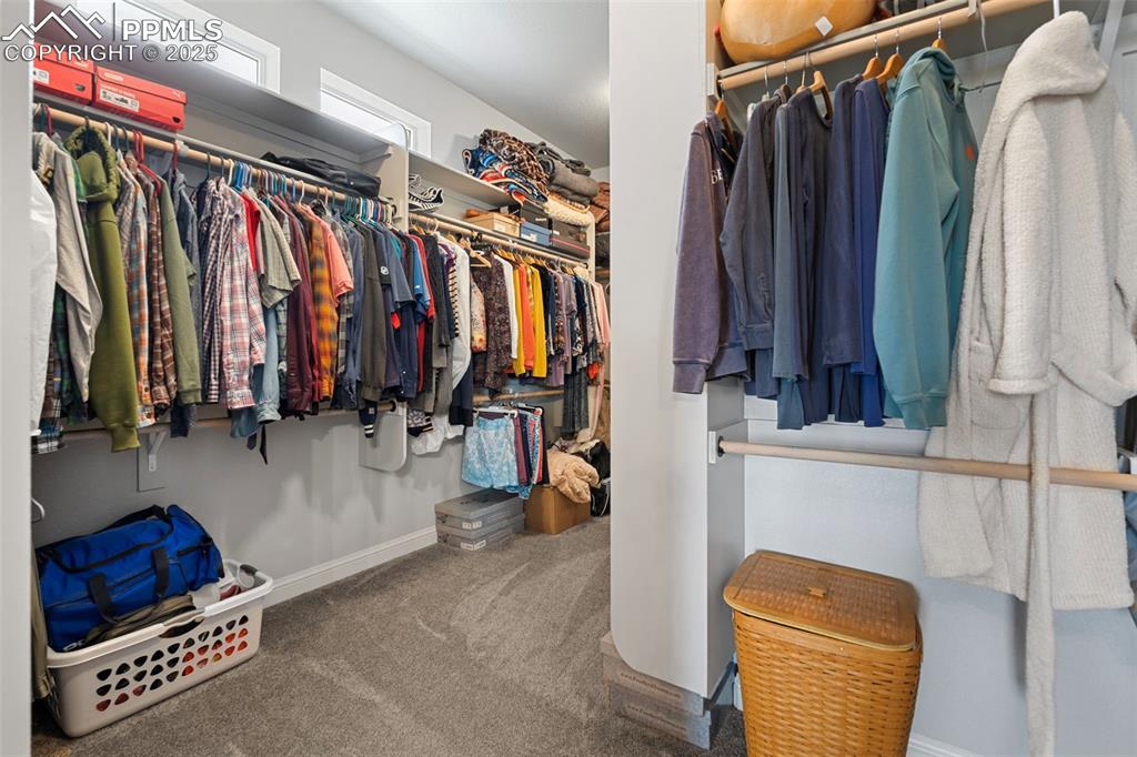 Walk in closet featuring carpet floors