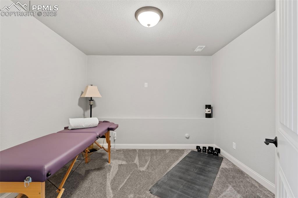 Office area with light colored carpet and a textured ceiling