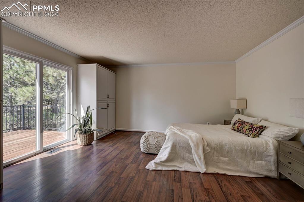 Main floor primary bedroom.