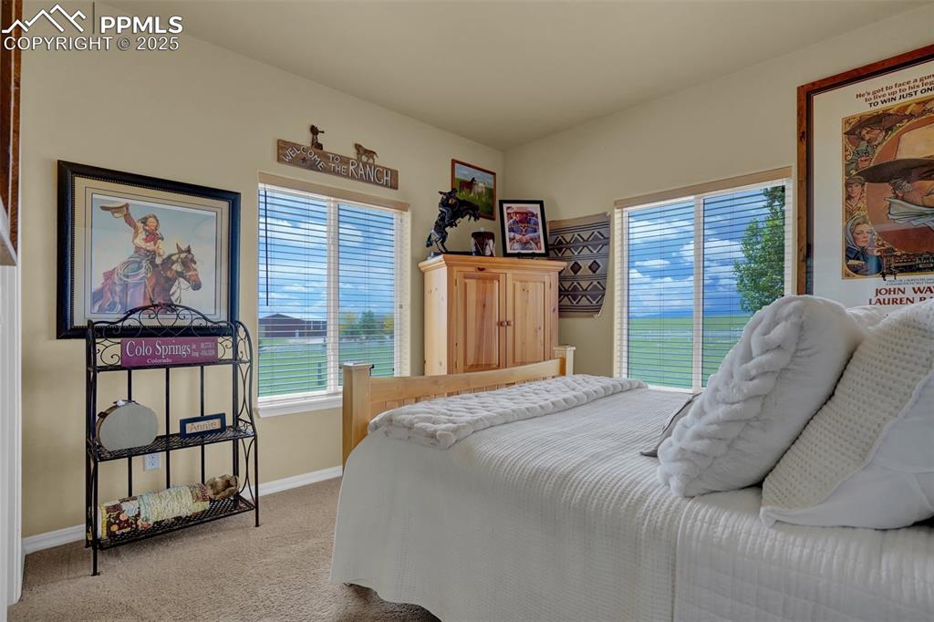 Bedroom with carpet floors, access to exterior, and baseboards