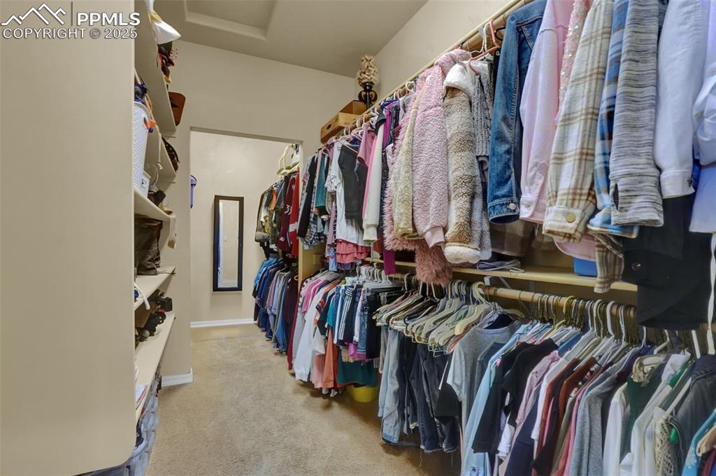 Primary walk in closet with attic access and carpet