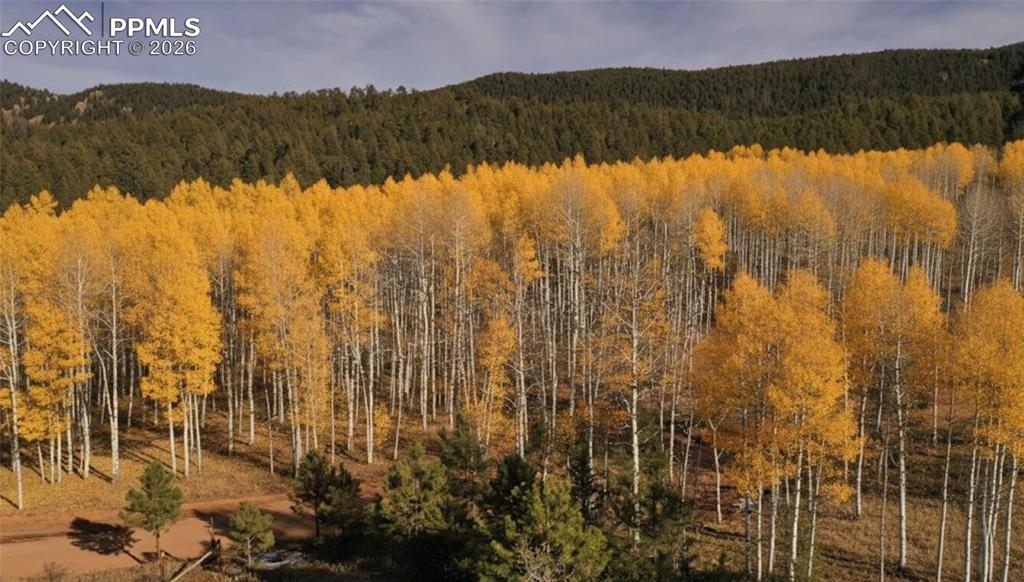 View from the front deck