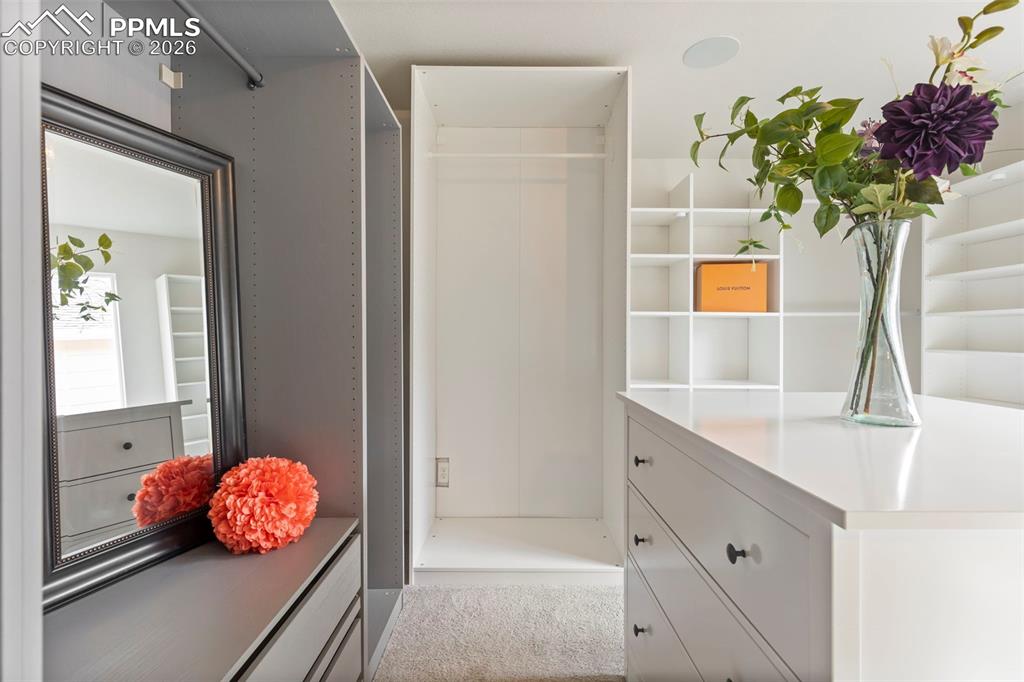 Main-level bedroom or flex room with natural light, and carpeted flooring.