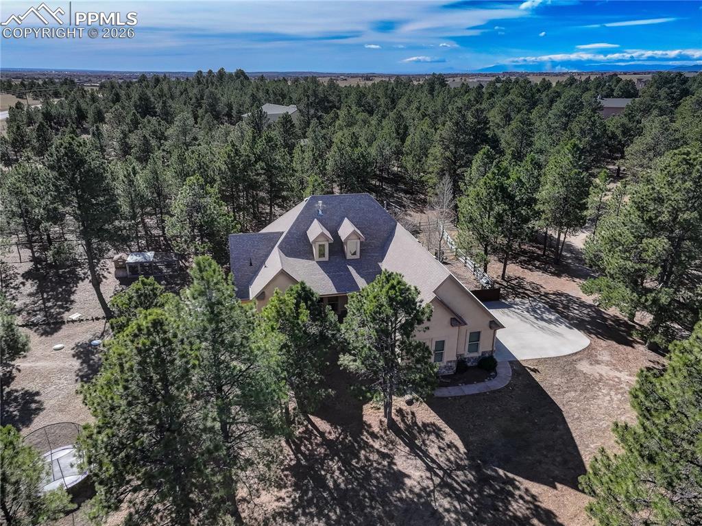 Mature trees for privacy