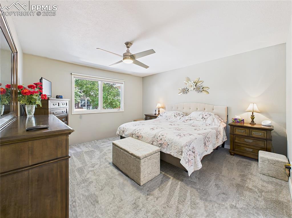Primary Bedroom – Oversized retreat with soft carpet, large window, and ceiling fan, offering a tranquil space to unwind.