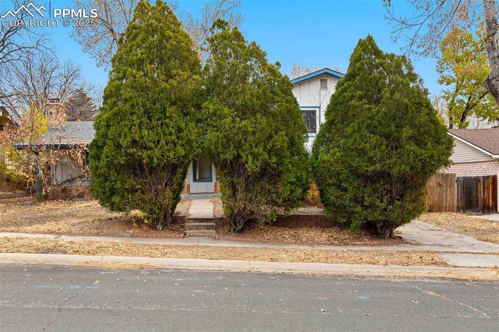 1941 Carlton Avenue photo 2