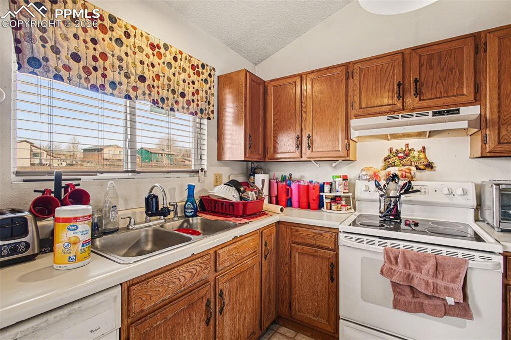 921 N Candlestar Loop