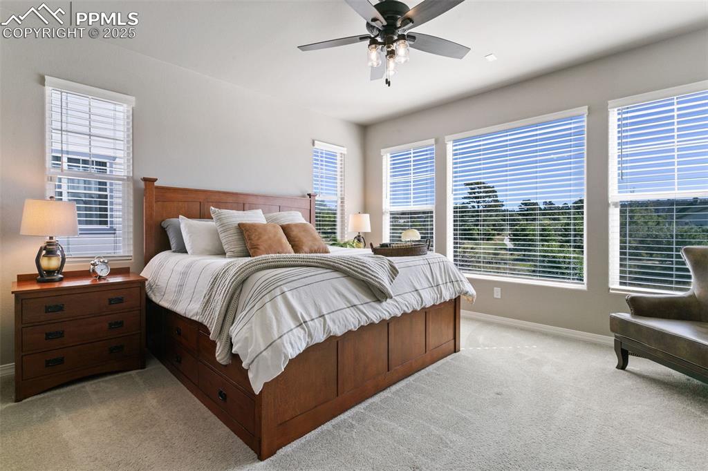 Bedroom with multiple windows, light colored carpet, and ceiling fan