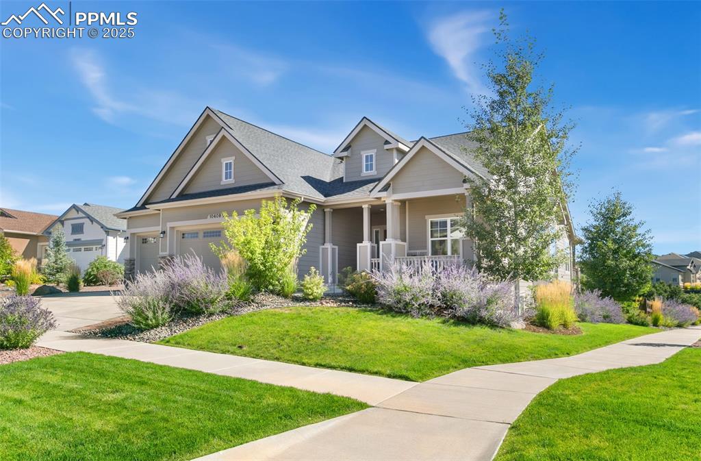 Craftsman house with a front yard, a porch, and roof with shingles