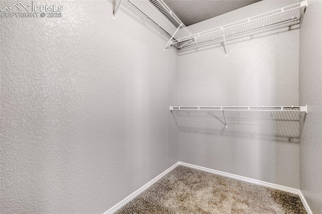 Walk in closet with carpet