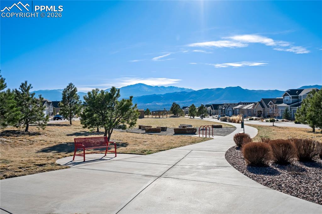 3347 Golden Meadow Way photo 3