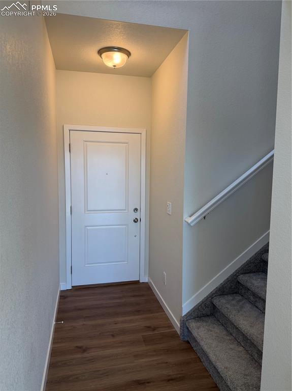 4929 Deer Haven View photo 2