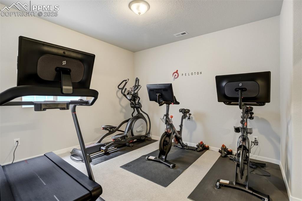 A 5th bedroom in basement with attached bathroom
