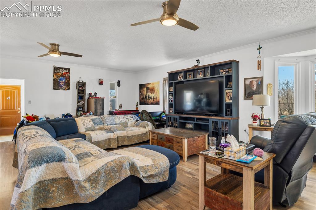 Living area with wood finished floors, a ceiling fan, a textured ceiling, crown molding, and healthy amount of natural light
