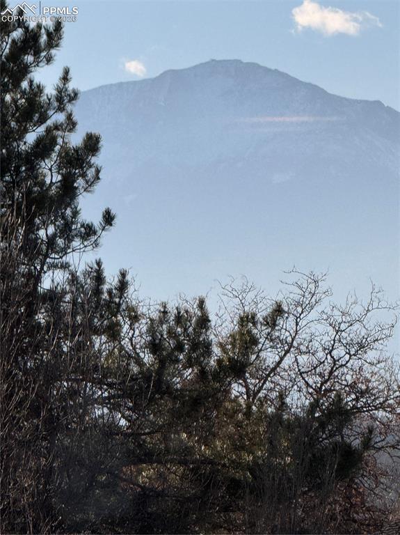 View from Primary Bathroom