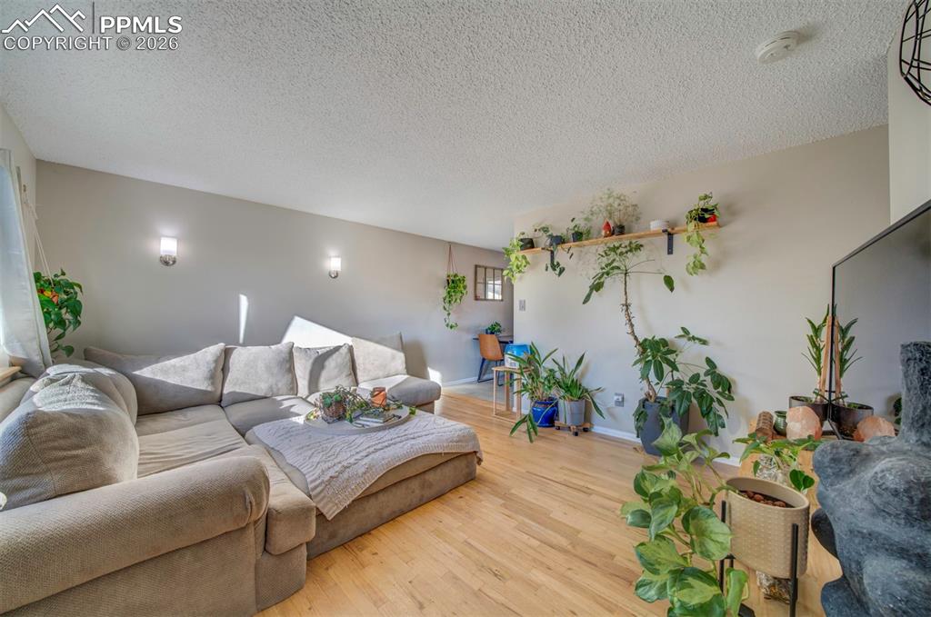 1911 Del Mar Drive photo 3