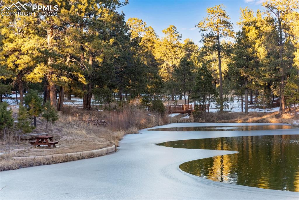 One of two community ponds which are stocked and can be fished (catch and release)