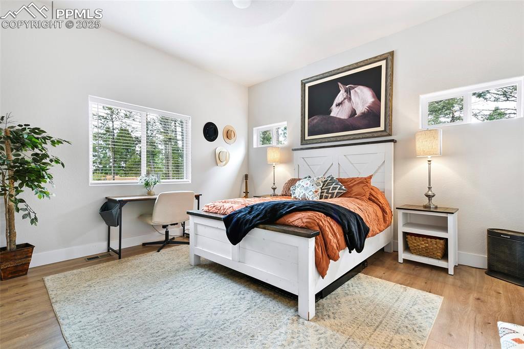 Large Master Suite with Beautiful Vinyl Windows