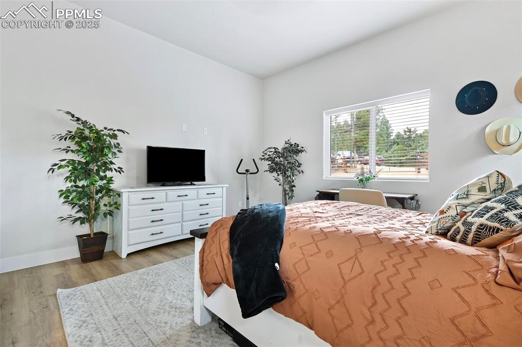 Master Bedroom with Large Window and High Ceilings