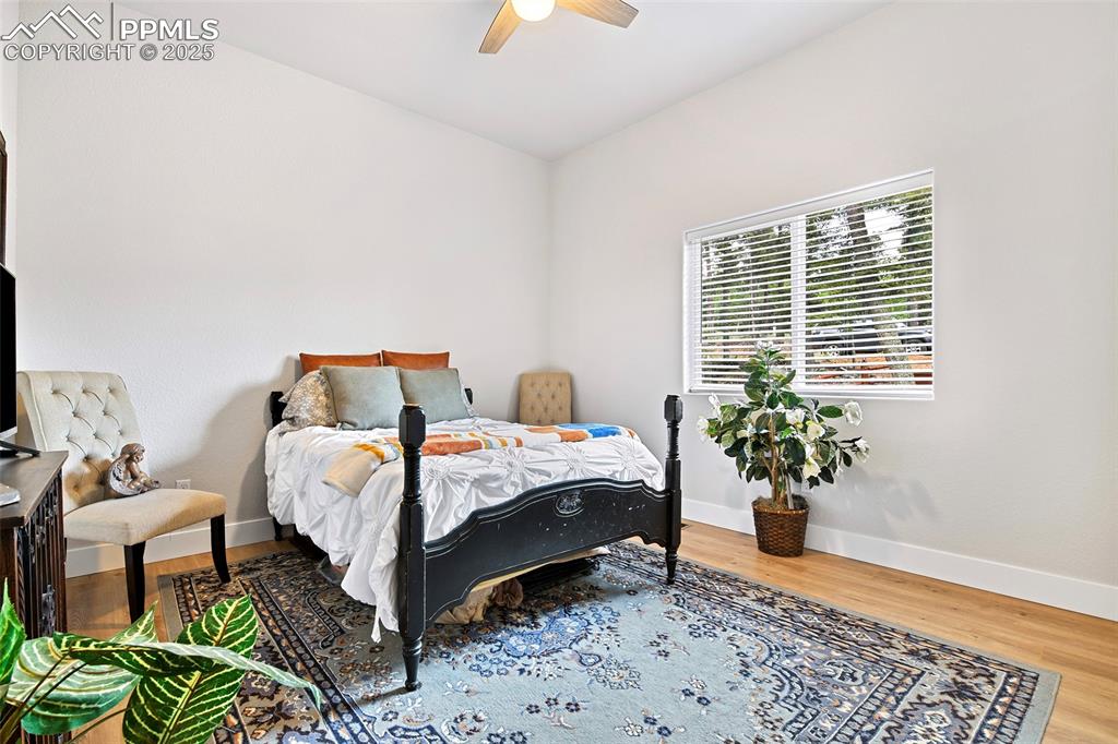 Large Secondary Bedroom 